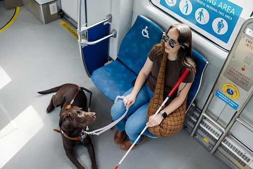 Accessible Public Transport Independence